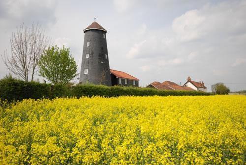 Yaxham Mill Bed & Breakfast Dereham Exterior foto